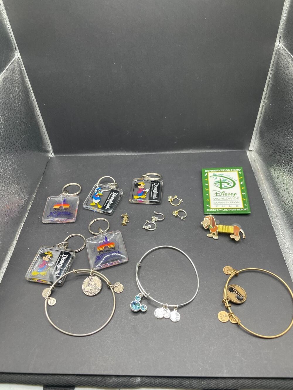 Lot of Disney Parks Alex and Ani Silver Brass Charm Bangle Bracelet & Keychains